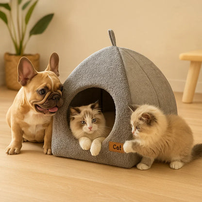 Cats Cave House | Indoor