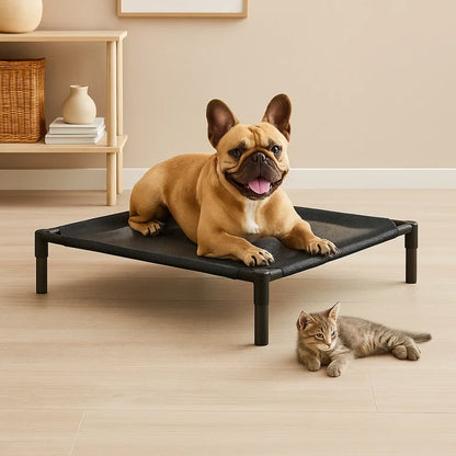 Verhoogd Hondenbed | Gezonde Huid voor Grote en Kleine Honden