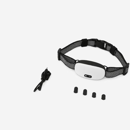 Dog Collar For Small Dogs | Bark Control