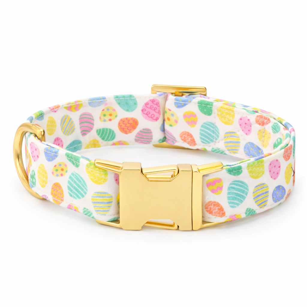 Hondenhalsband Met Paasei Patroon