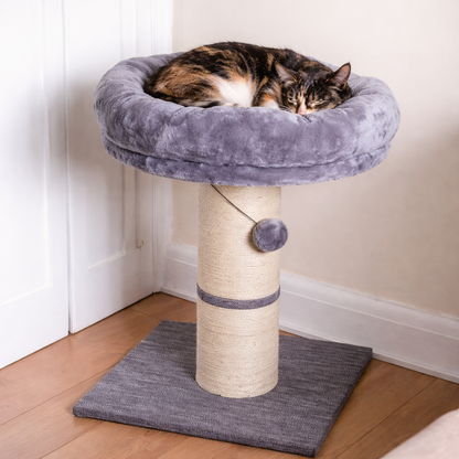 Cat Scratching Post | Large