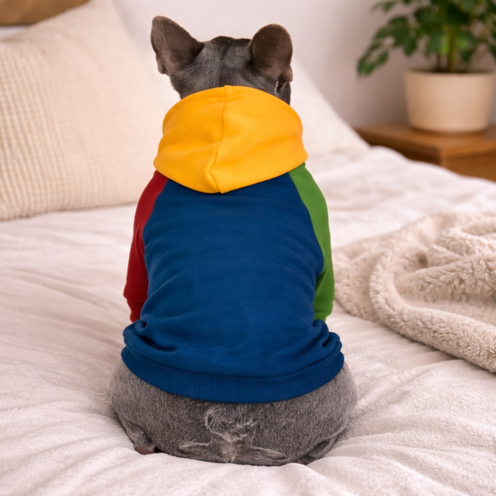 Multicolored Dog Hoodie with Color Blocks