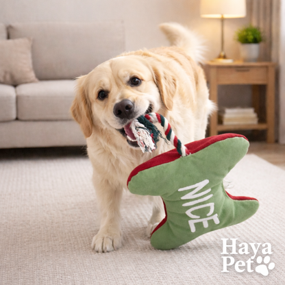 Hondenspeelgoed Met Feestelijk Thema