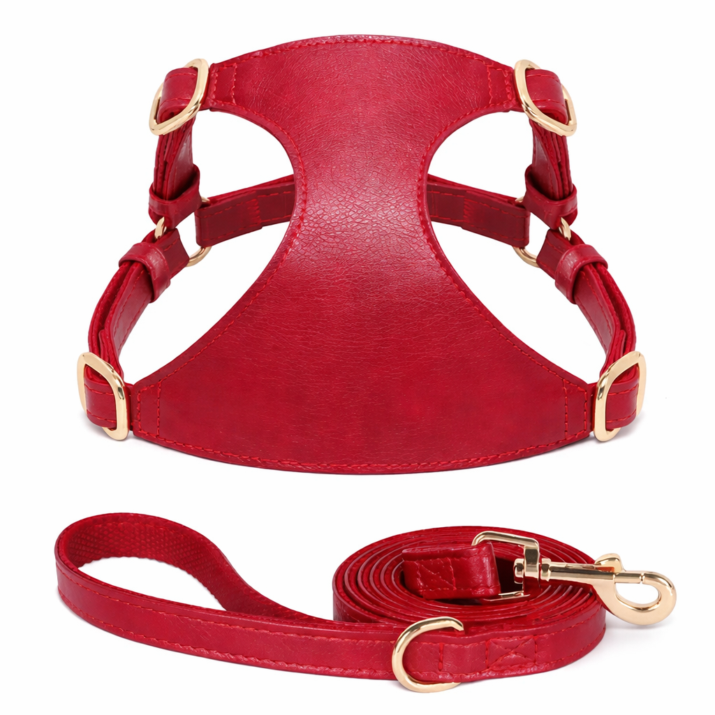 Klassiek Verstelbaar Hondenharnas Voor Dagelijkse Wandelingen