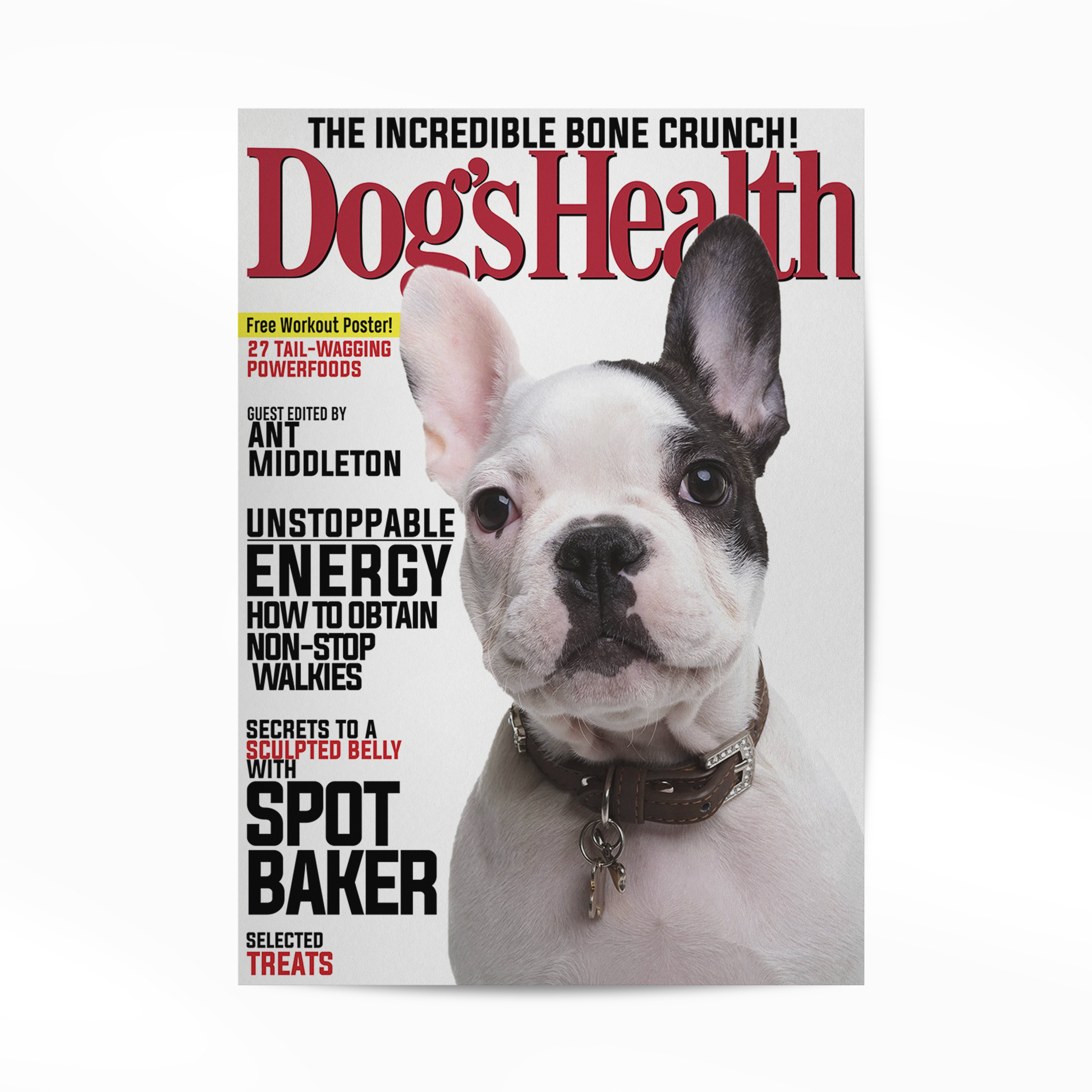 Gepersonaliseerde Huisdier Poster Jouw Kat of Hond op Magazine Cover