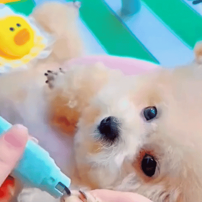 Dog Nail Grinder, Quiet Rechargeable with LED Light for Pets