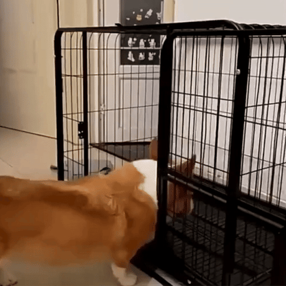 Hondenbench Voor Grote Honden Ontsnappingsproof Hondenbench, Stalen Kooi