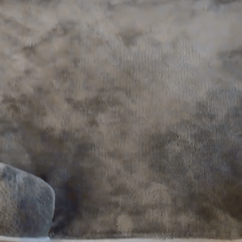 Orthopedisch Hondenbed Met Stevig Schuim Comfort Voor Senior Honden