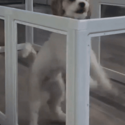 Dog Run Sturdy, Expandable & Modern Design