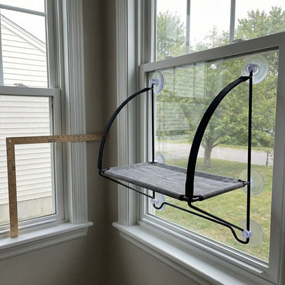 Kattenhangmat Voor Het Raam