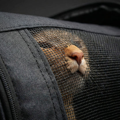 Porto Kattendraagtas