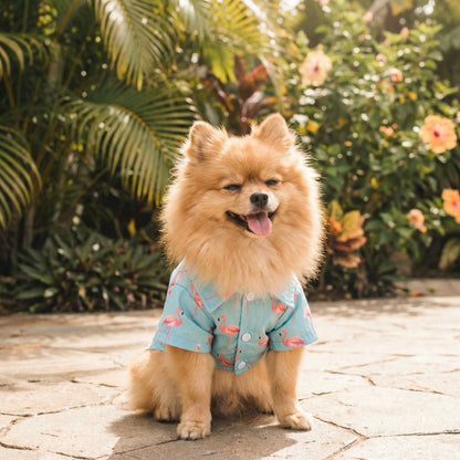 Flamingo Hondenshirt