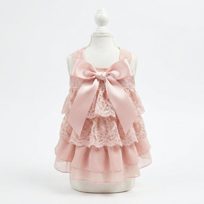 Roze Kanten Hondenjurk Met Ruches