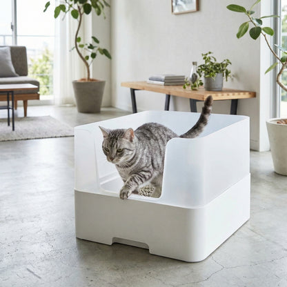 Kattenbak Met Beschermende Opzetrand