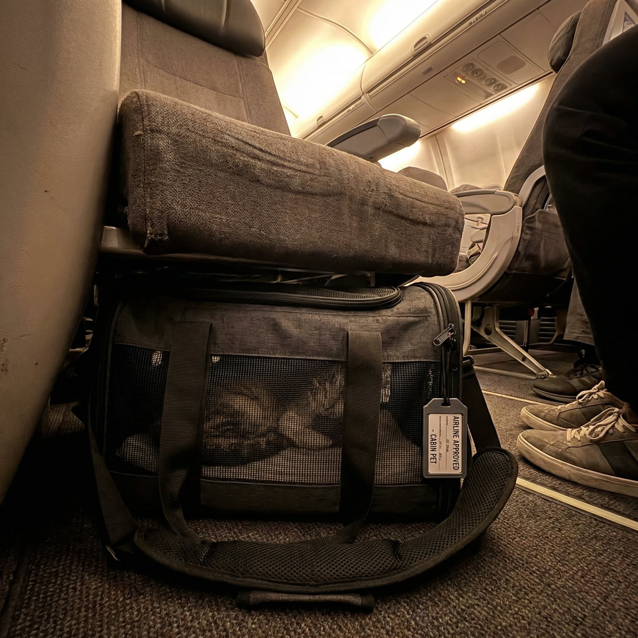 Porto Kattendraagtas