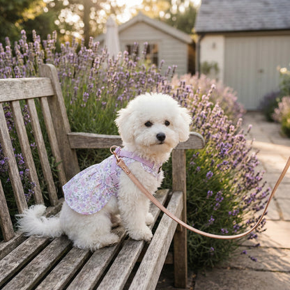 Spring Wildflower Tuigjurk Voor Honden