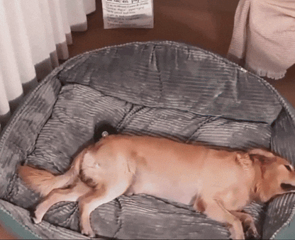 Afneembare Wasbare Hondenmand | Voor Grote Honden