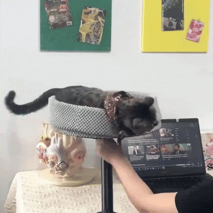 Katten Bureaubed | Slaapplek