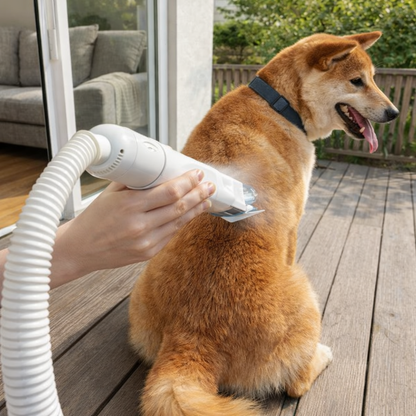 Huisdieren Trimmerset Met Vacuümsysteem