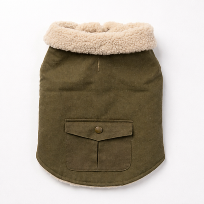 Green Outdoor Jacket for Dogs