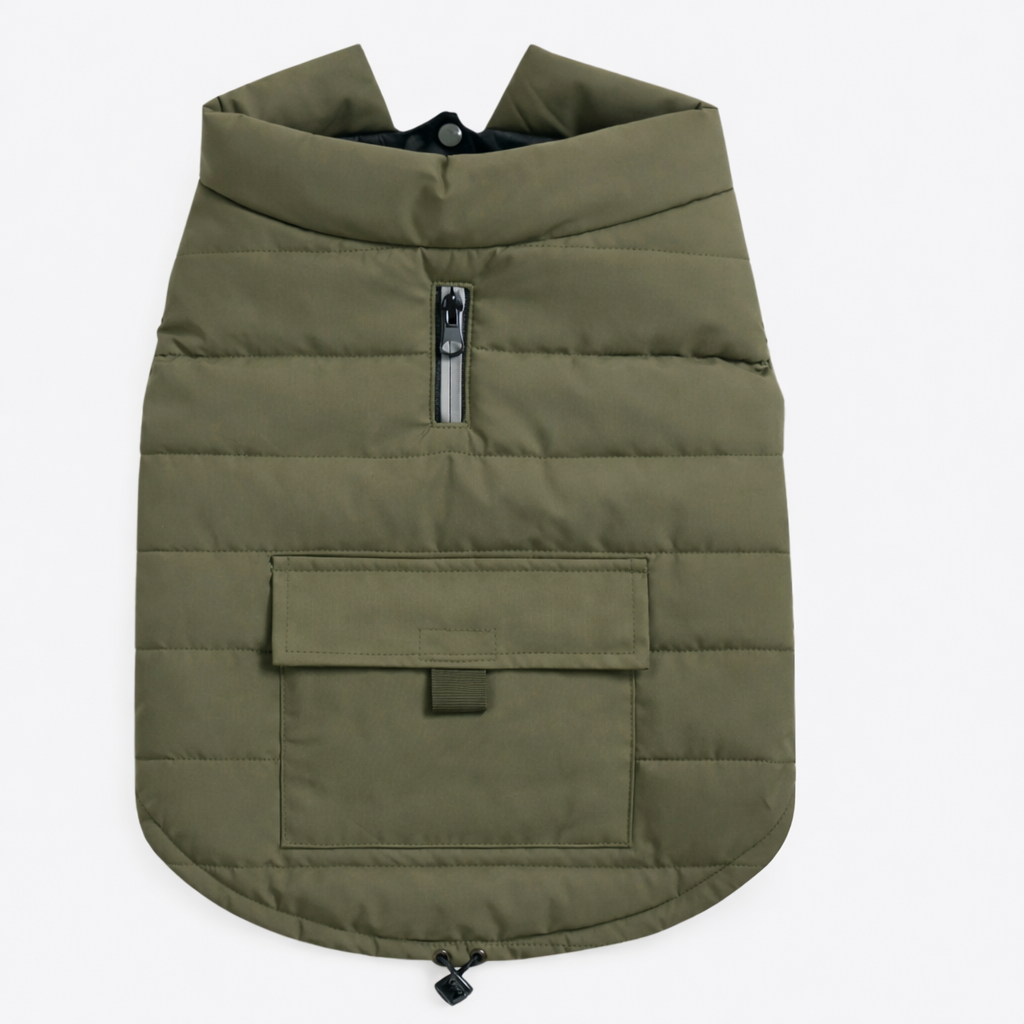 Olive Green Dog Vest for Fresh Days