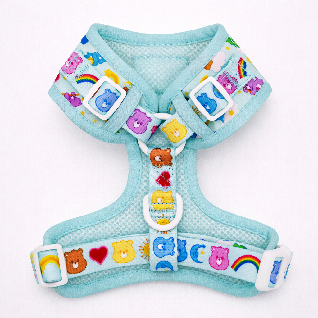 Dog Rainbow Bear Adjustable Harness | Multi Colour