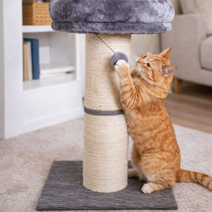 Cat Scratching Post | Large