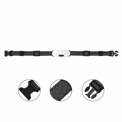 Dog Collar For Small Dogs | Bark Control