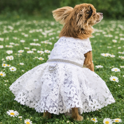 Pet Wedding Lace Dress | White
