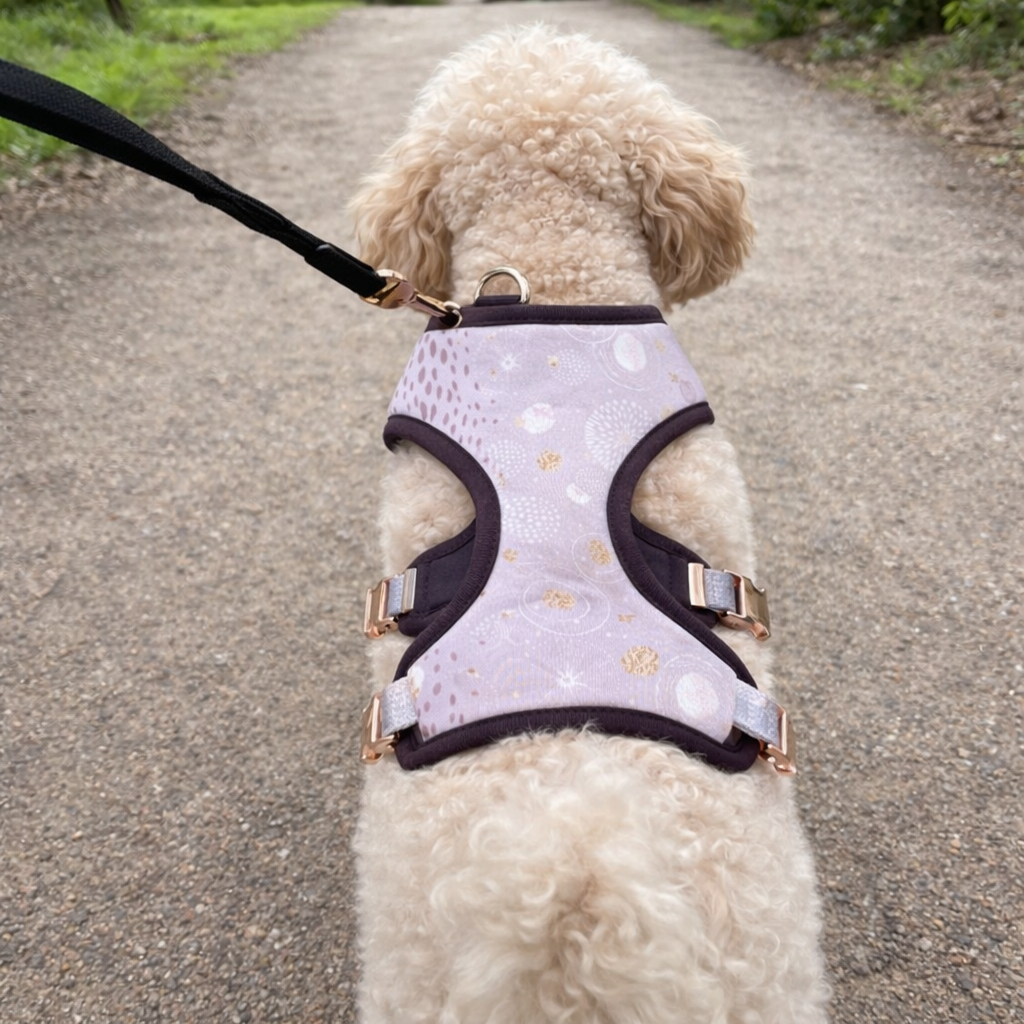 Dog Cosmic Print Harness | Adjustable