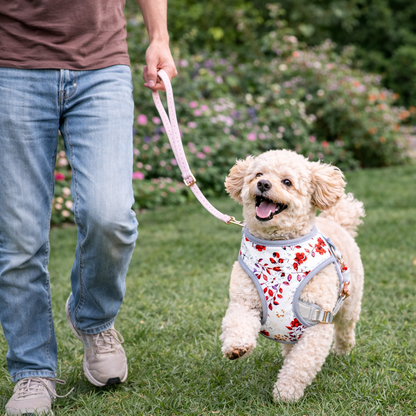 Dog Reversible Garden Harness | Floral