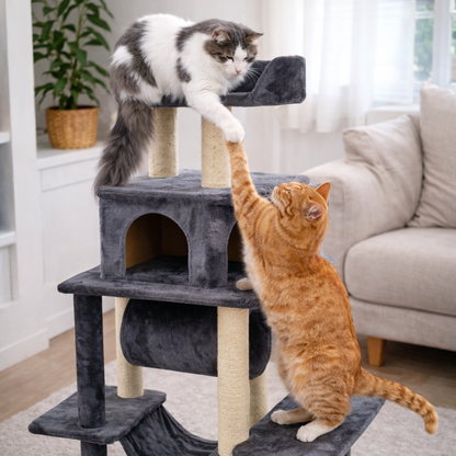 Grote Kattenboom | Meerdere Niveaus