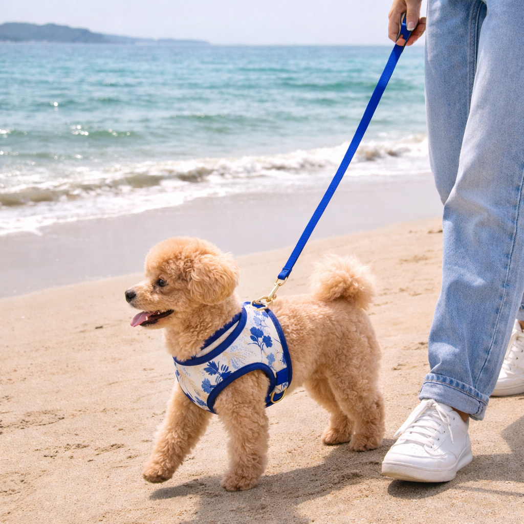 Dog Reversible Harness | Dual Colour