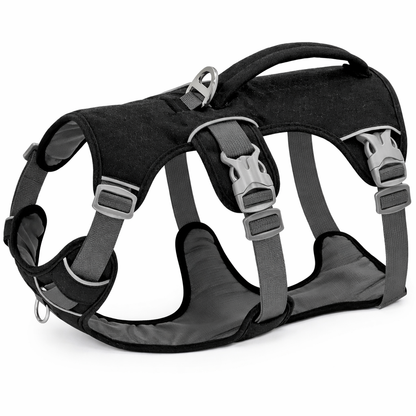 Dog Harness With Three Attachment Points