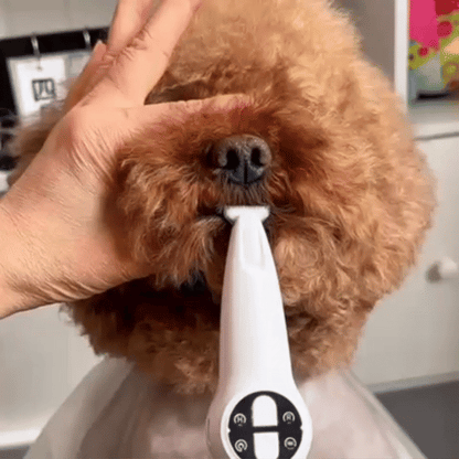 2-in-1 Trim & Vijl Elektrische Nagelvijl Trimmer & Grinder Voor Veilige Verzorging