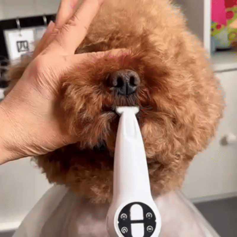 2-in-1 Trim &amp; File Electric Nail File Trimmer &amp; Grinder for Safe Care