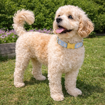 Dog Collar With Embroidered Flowers