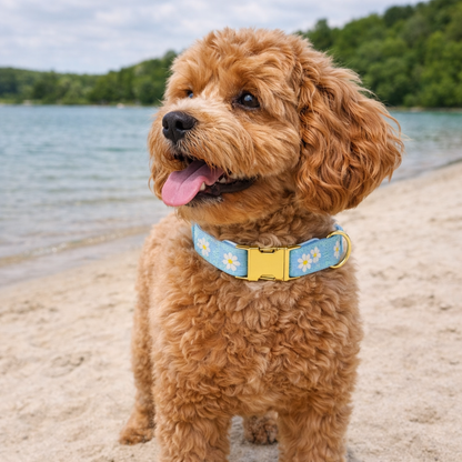 Dog Collar With Embroidered Flowers