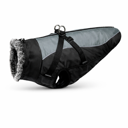 Adjustable Padded Dog Jacket with Leash