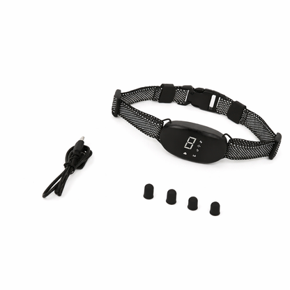 Dog Collar For Small Dogs | Bark Control