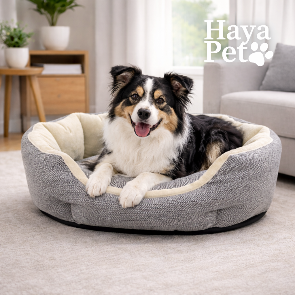 Dog Bed with Raised Edges