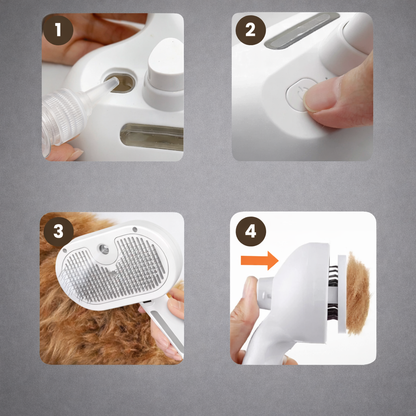 Pet Brush with Spray Function