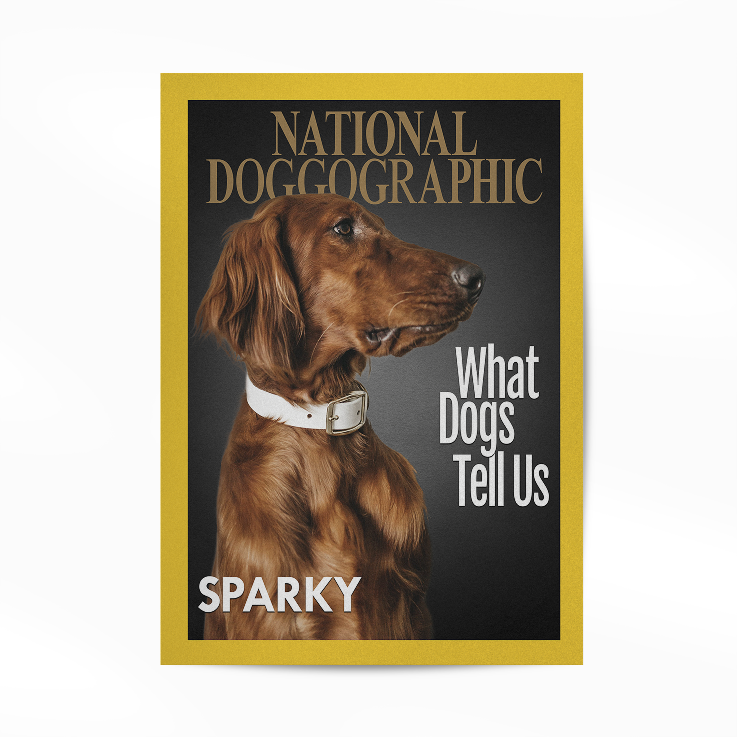 Gepersonaliseerde Huisdier Poster Jouw Kat of Hond op Magazine Cover