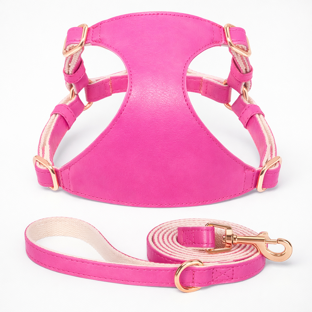 Klassiek Verstelbaar Hondenharnas Voor Dagelijkse Wandelingen