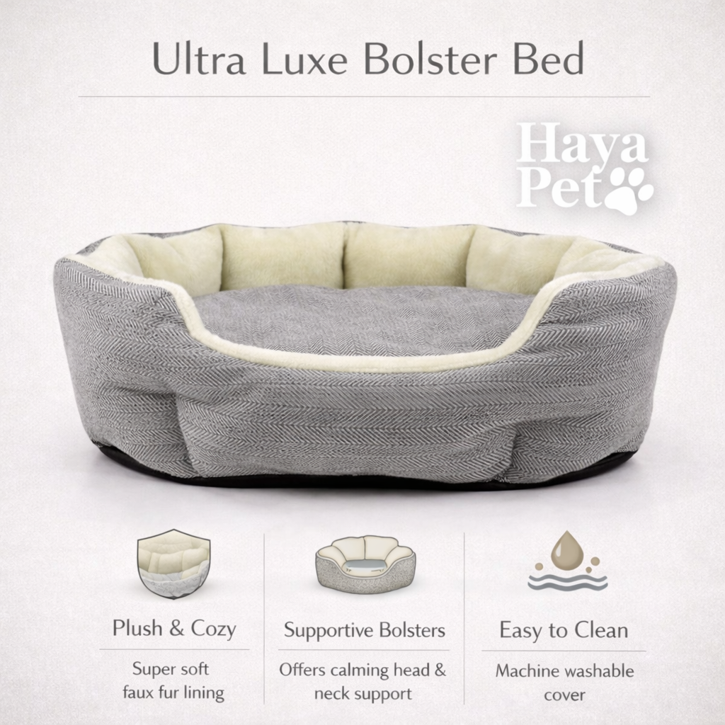Dog Bed with Raised Edges
