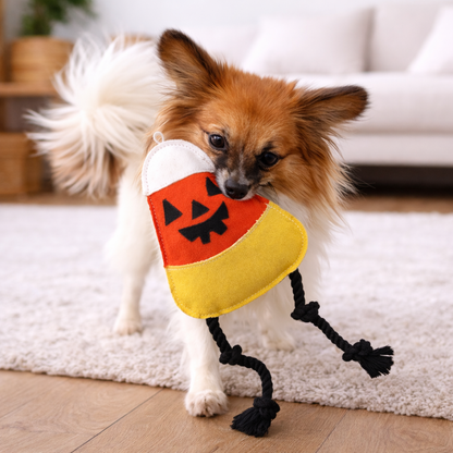 Hondenspeelgoed Met Monsterfiguren