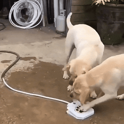 Honden Waterfontein Interactieve Pedaal Fontein Voor Buiten & Verkoeling