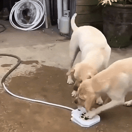 Honden Waterfontein Interactieve Pedaal Fontein Voor Buiten & Verkoeling