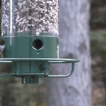 Rotating Bird Feeder for Gardens Strong Metal Design that Keeps Squirrels Out