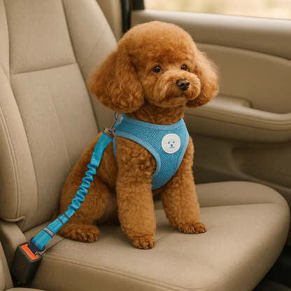 Hondengordel Auto Verstelbare Veiligheidsriem Voor Honden In De Auto